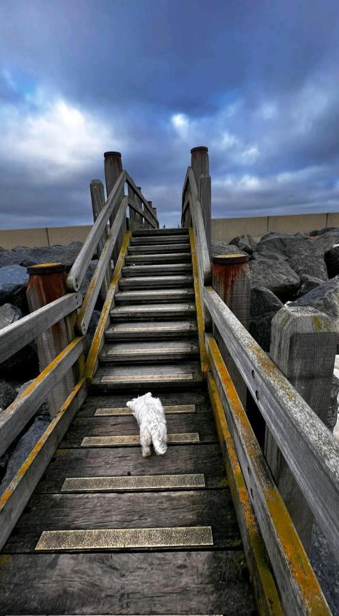 Camber Sands 6 berths 2 bath Decked, Dog Friendly Bagian luar foto